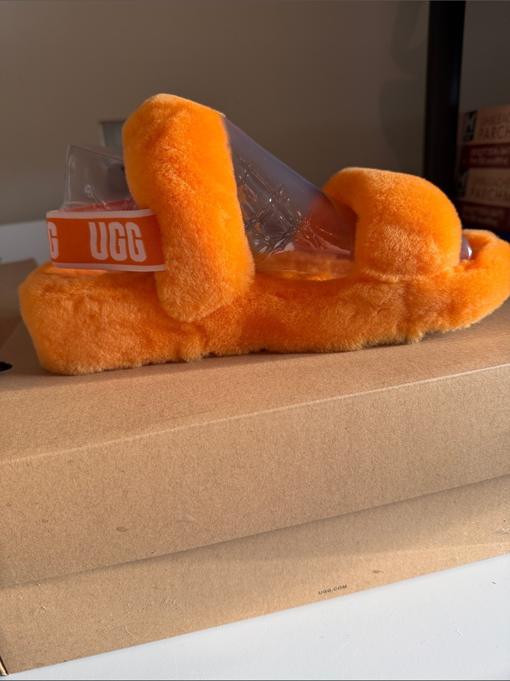 UGG Slippers